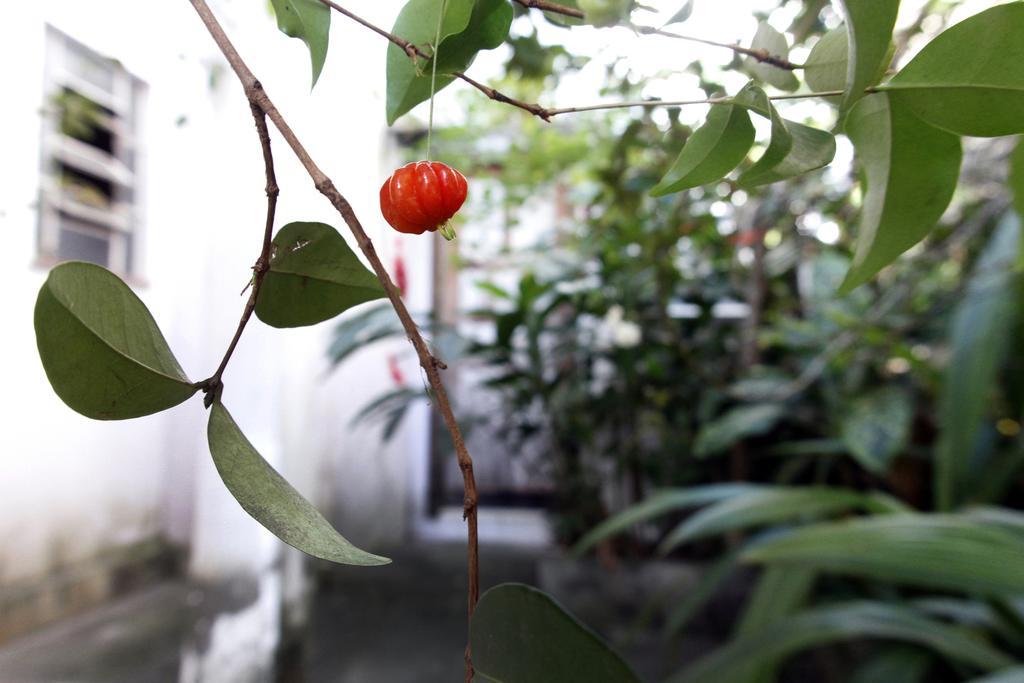 Casa Em Meio A Natureza - Ideal Para Casal Rio de Janeiro Esterno foto